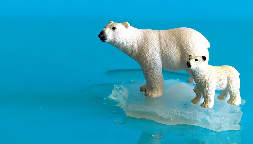 réchauffement climatique